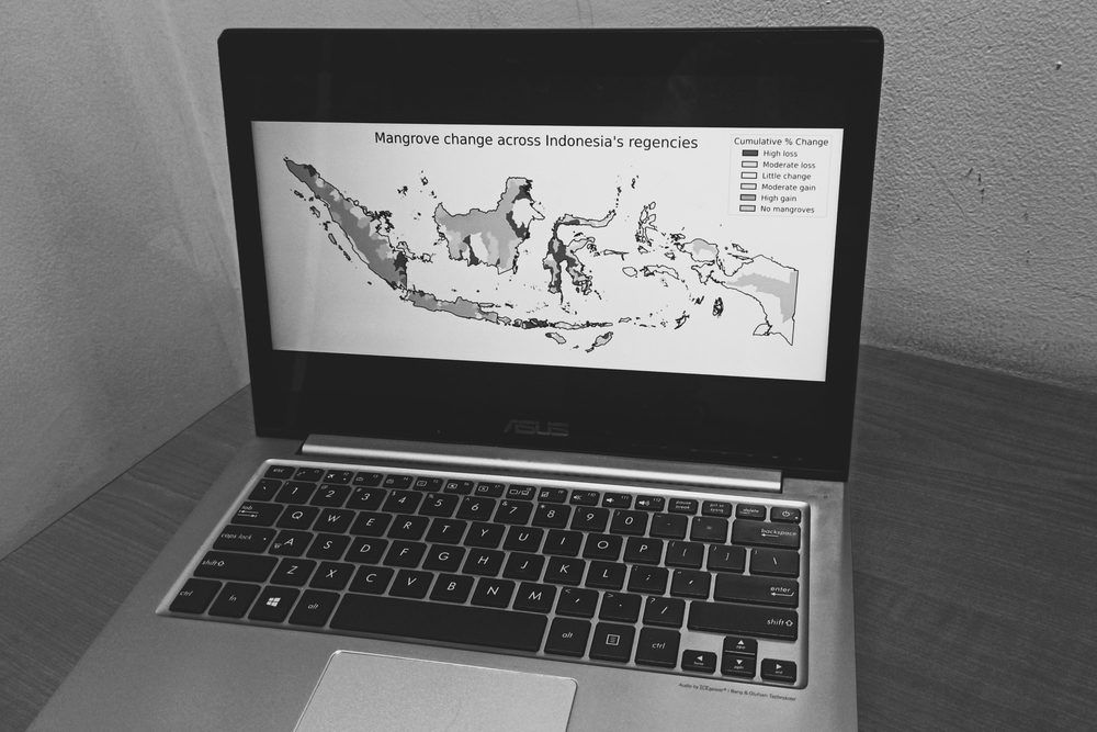 Laptop screen showing a map of mangrove change across Indonesia's regencies